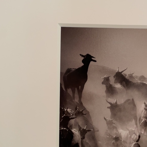 Drew Doggett Photography - Picture 3 of 8